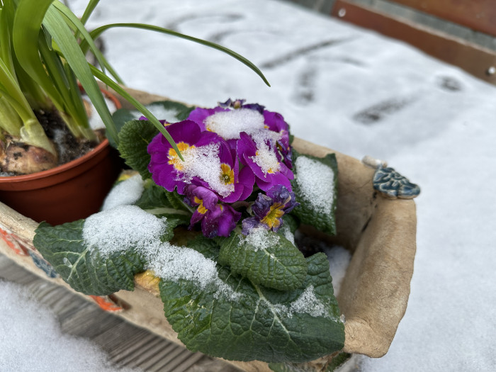 ... und mit dem iPhone 14 Pro Max aufgenommen. (Bild: Tobias K&ouml;ltzsch/Golem.de)